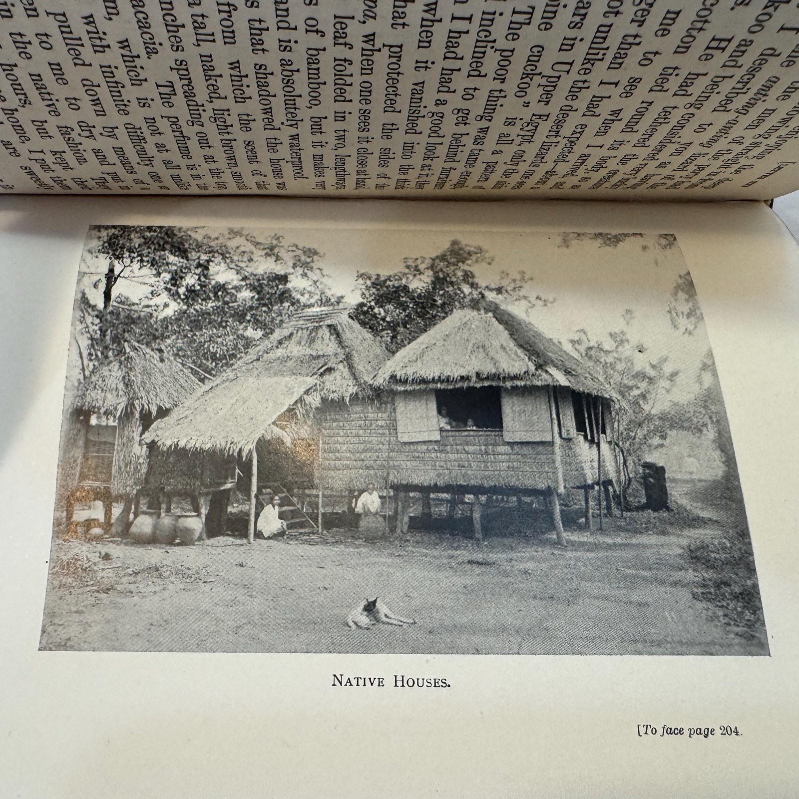 Englishwoman in the Philippines — photograph 7.