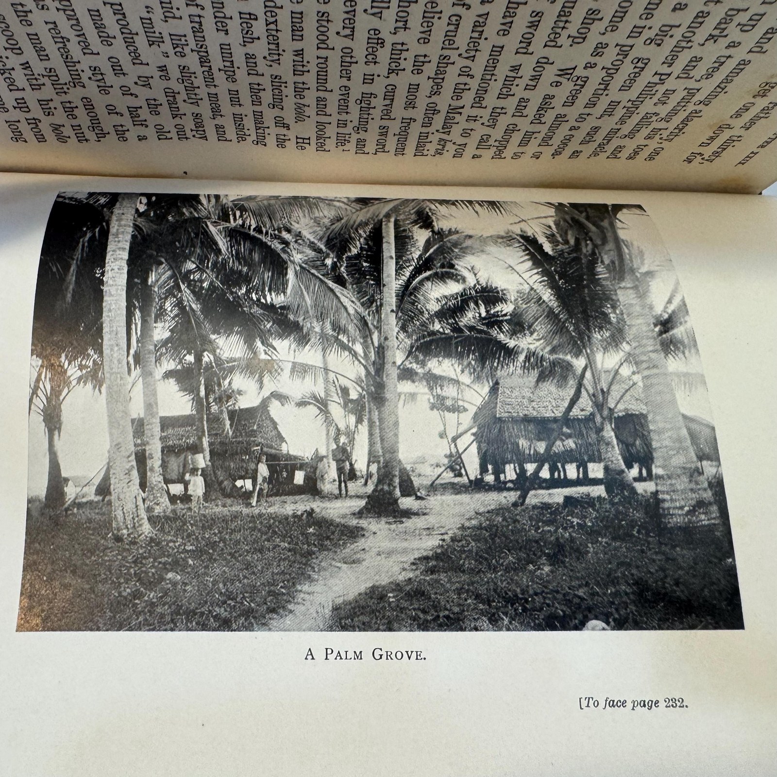 Englishwoman in the Philippines — photograph 8.