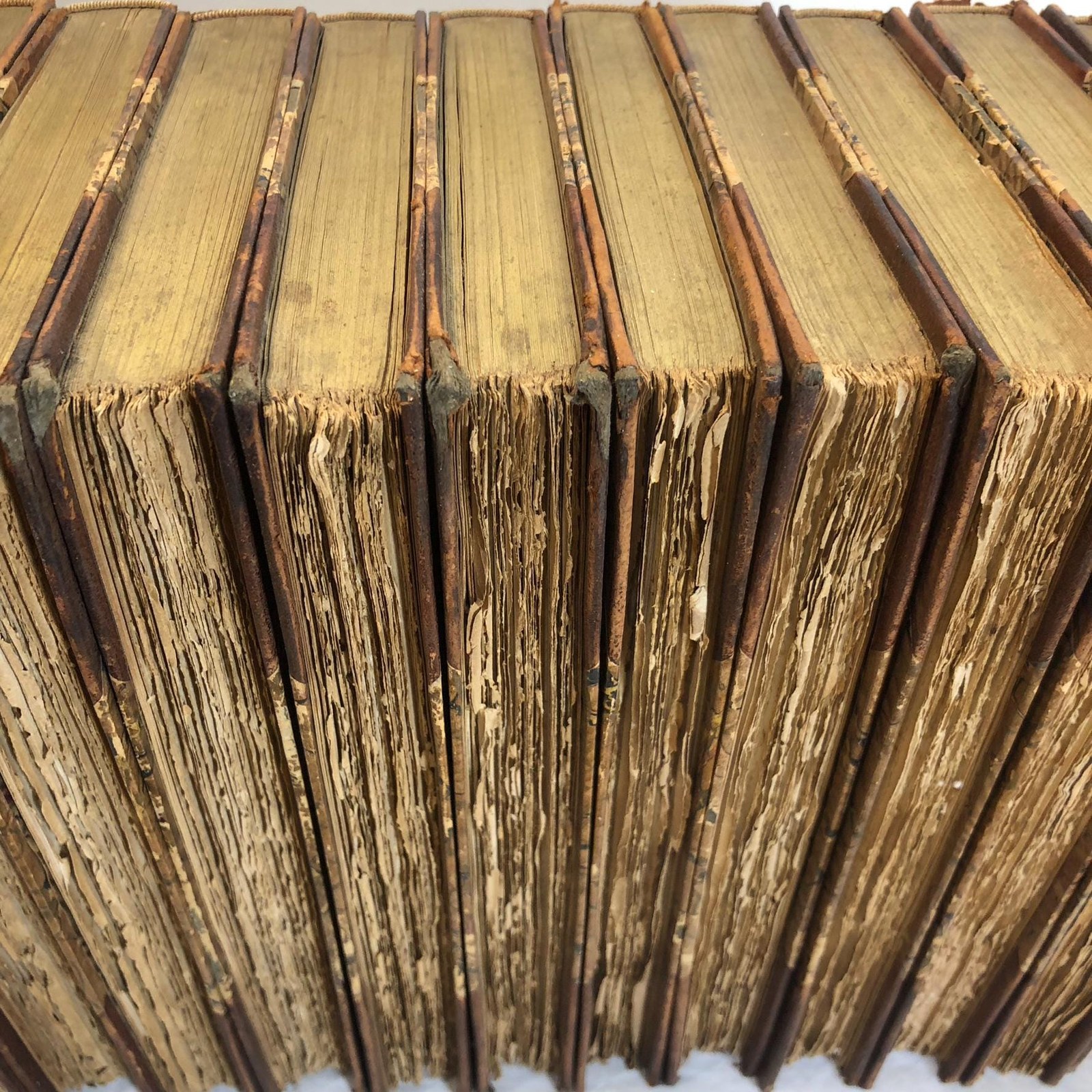 Complete Works of Robert Burns Self-Interpreting) Illustrated with Sixty Etchings and Wood Cuts, Maps and Facsimiles — photograph 8.