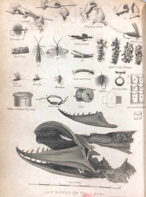 Rural Sports by the Rev. Wm. B. Daniel // Volumes I & II plus Supplement
Publication Dates: 1801, 1802, 1813 — photograph 10.