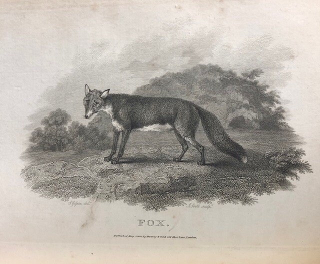 Rural Sports by the Rev. Wm. B. Daniel // Volumes I & II plus Supplement
Publication Dates: 1801, 1802, 1813 — photograph 3.