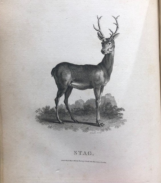 Rural Sports by the Rev. Wm. B. Daniel // Volumes I & II plus Supplement
Publication Dates: 1801, 1802, 1813 — photograph 5.