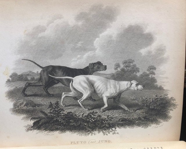 Rural Sports by the Rev. Wm. B. Daniel // Volumes I & II plus Supplement
Publication Dates: 1801, 1802, 1813 — photograph 8.