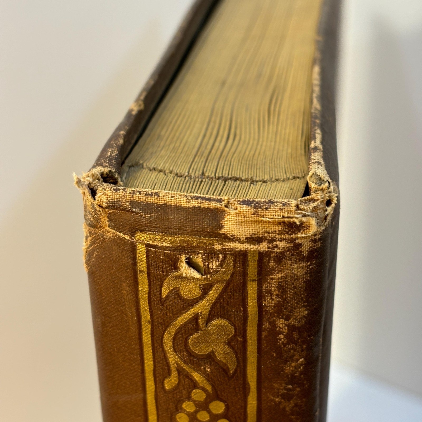 Rubaiyat of Omar Khayyam The Astronomer-Poet of Persia Rendered into English Verse by Edward Fgitzgerald with an Accompaniment of Drawings by Elihu Vedder — photograph 6.