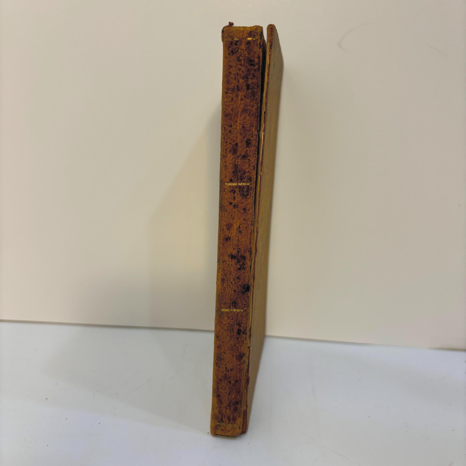 Fabulae Aesopi Selectae, or, Select Fables of Aesop: With an English Translation, More Literal Than Any Yet Extant, Designed for The Readier Instruction of Beginners in The Latin Tongue. — photograph 4.