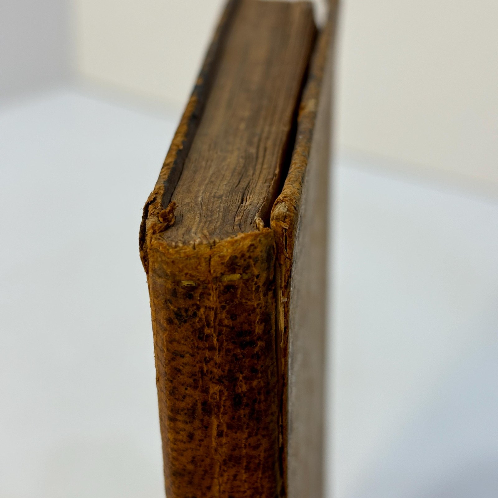 Fabulae Aesopi Selectae, or, Select Fables of Aesop: With an English Translation, More Literal Than Any Yet Extant, Designed for The Readier Instruction of Beginners in The Latin Tongue. — photograph 8.