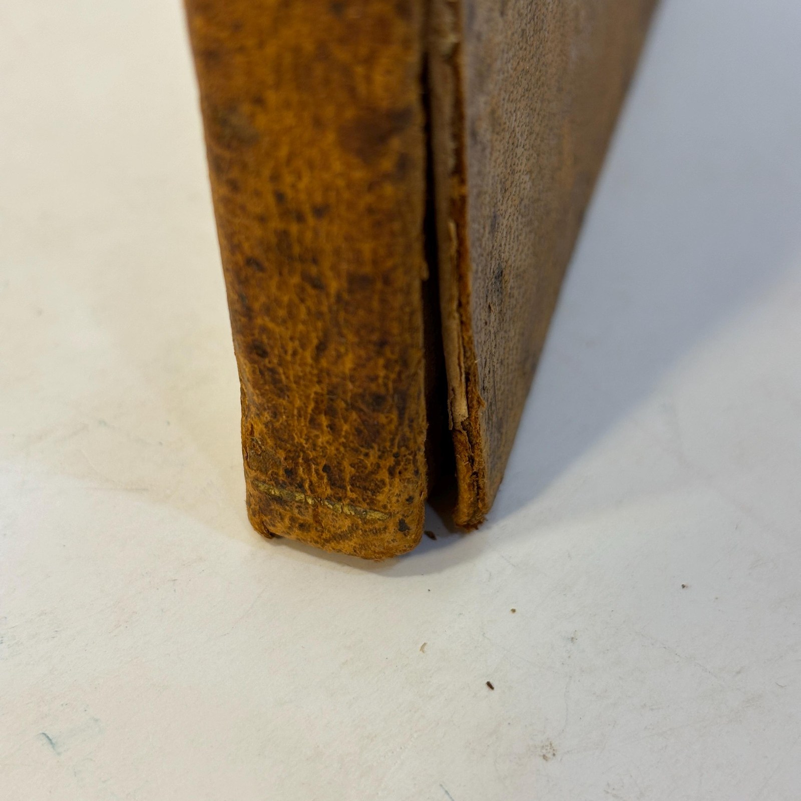 Fabulae Aesopi Selectae, or, Select Fables of Aesop: With an English Translation, More Literal Than Any Yet Extant, Designed for The Readier Instruction of Beginners in The Latin Tongue. — photograph 9.