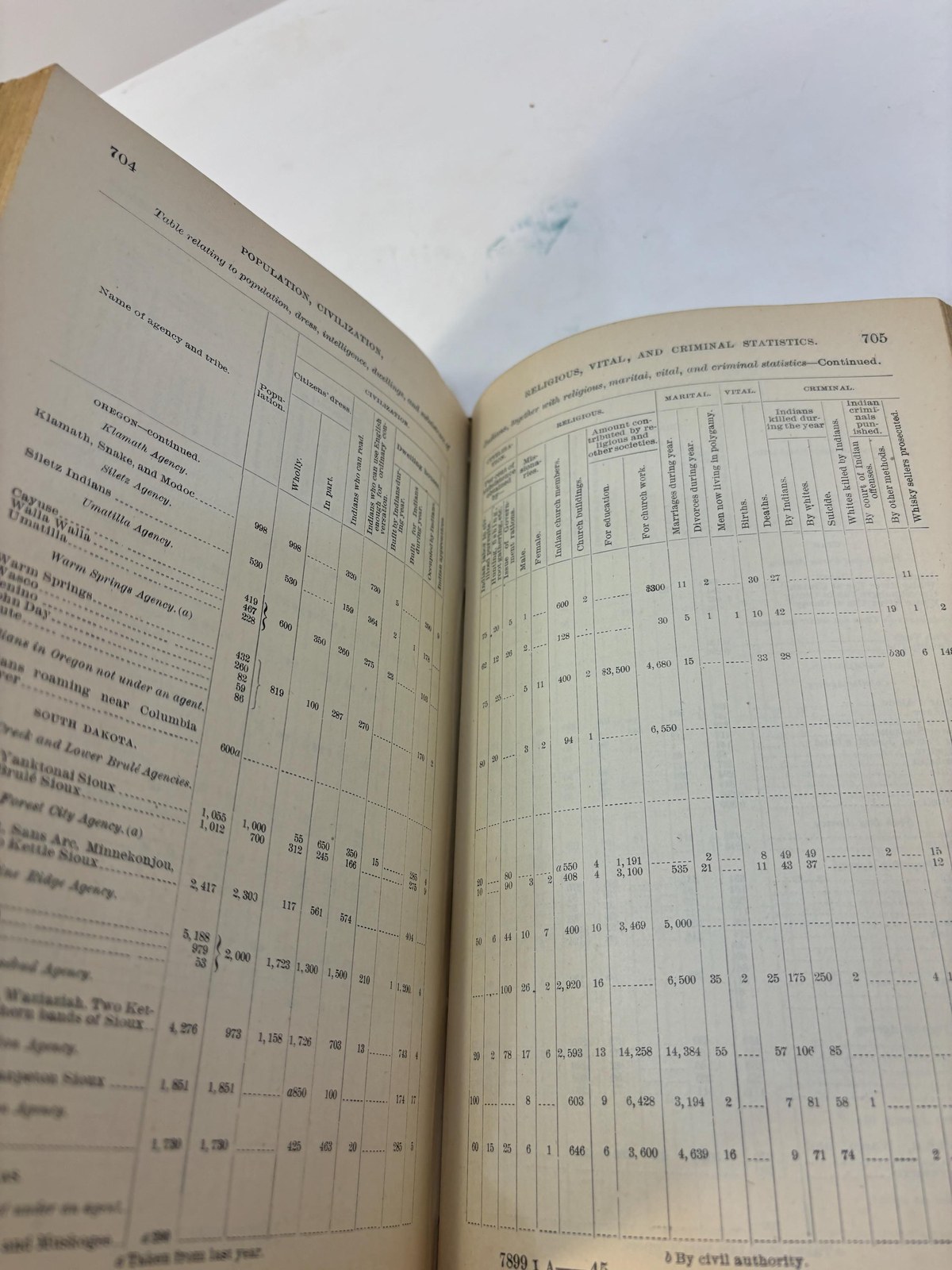 Sixty-Second Annual Report of The Commissioner of Indian Affairs to the Secrtetary of The Interior 1893 — photograph 8.
