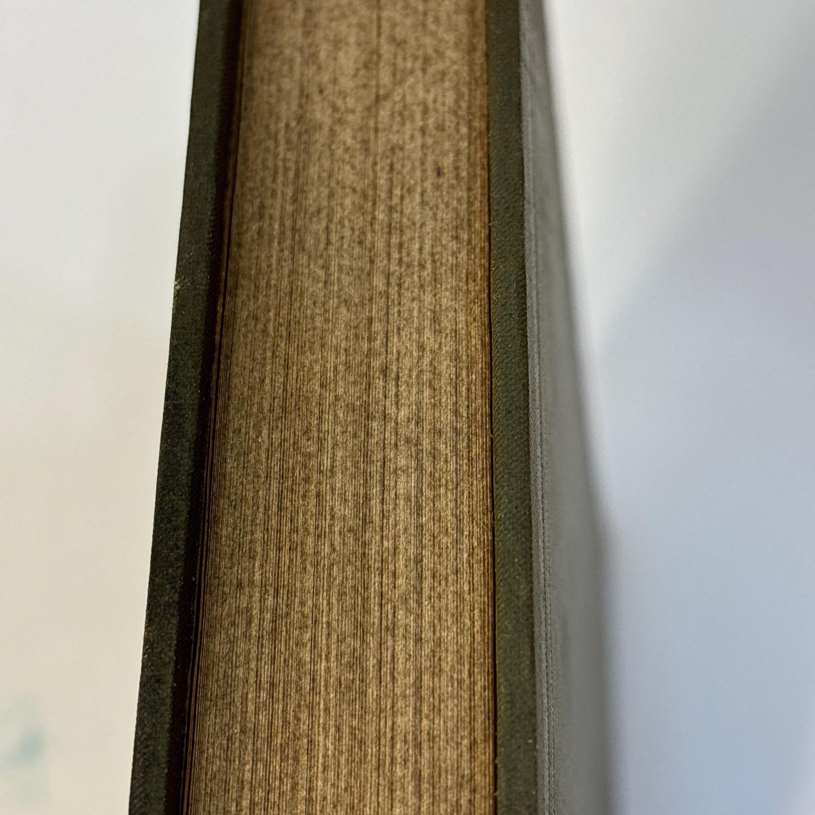 A Dictionary of The Biloxi and Ofo Languages Accompanied with Thirty-One Biloxi Texts and Numerous Biloxi Phrases. Smithsonian Institution Bureau of American Ethnology Bulletin 47. — photograph 5.