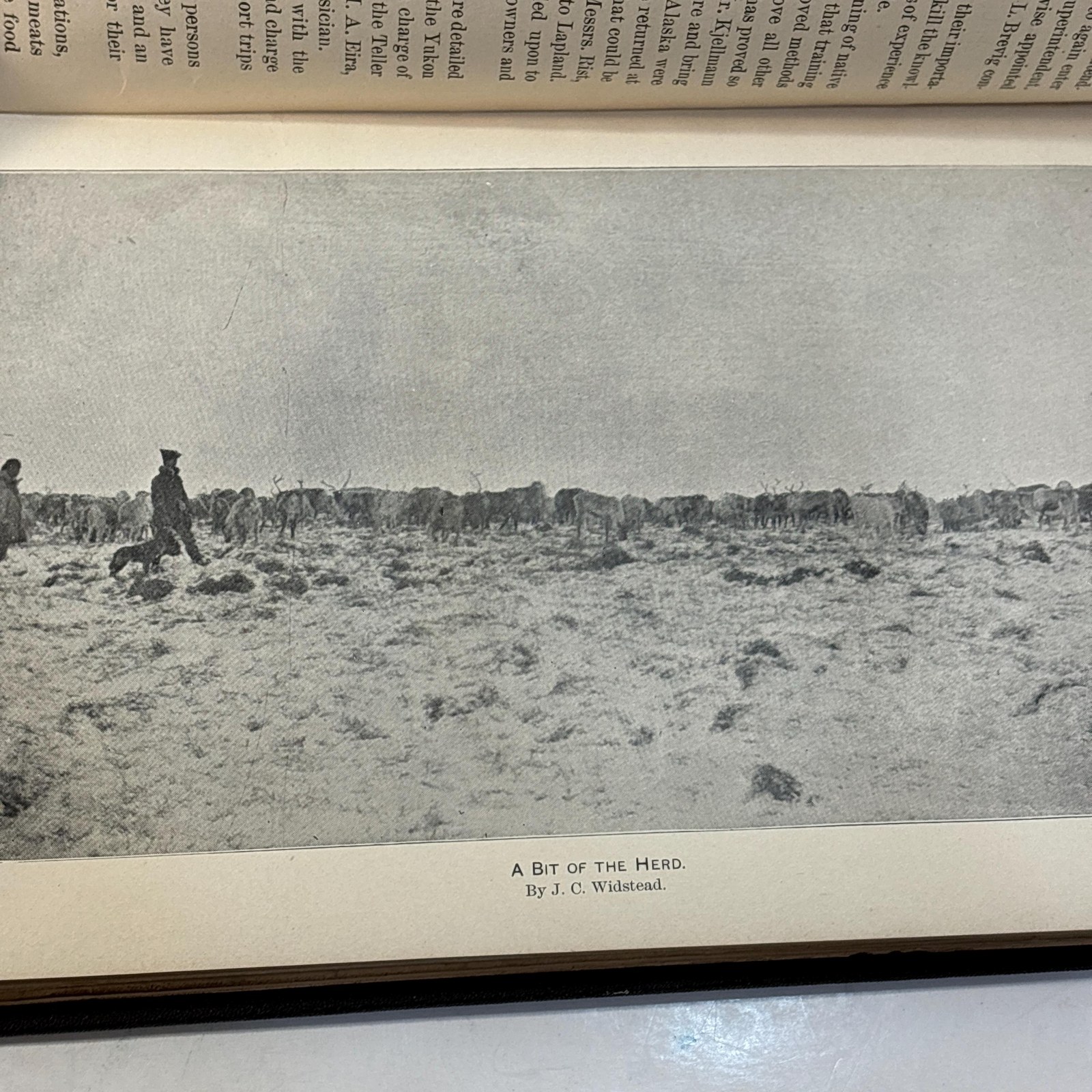 Report on Introduction of Domestic Reindeer Into Alaska, with Illustrations, 1897. 2nd Session, 55th Congress, Document No.30 — photograph 5.
