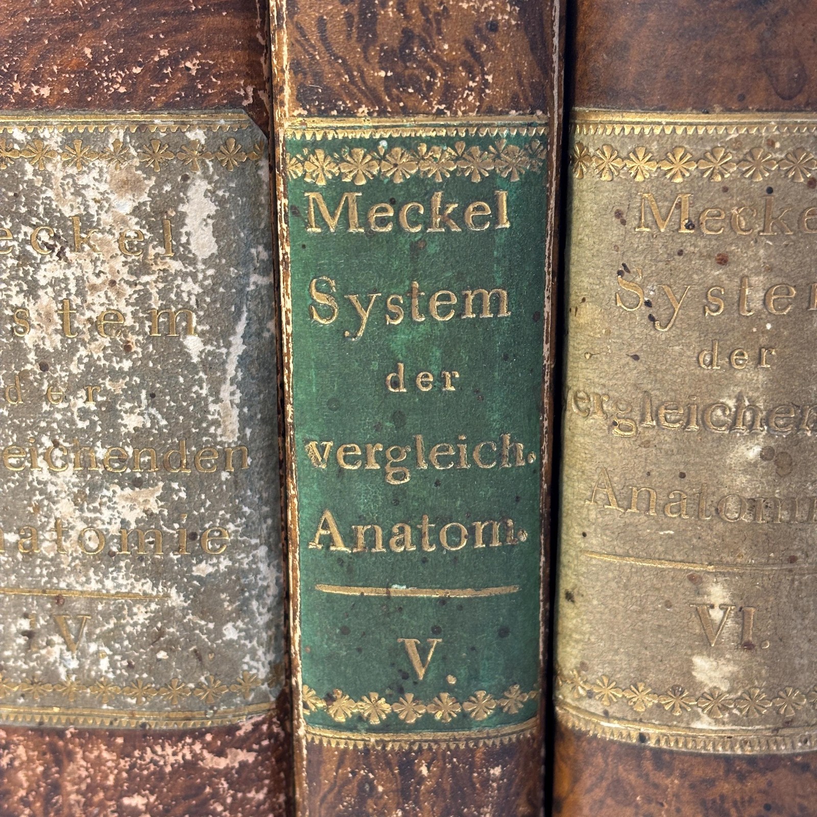 System der Vergleichenden Anatomie von J. F. Meckel. Translated: System of comparative anatomy by J. F. Meckel. First Edition, 6 volumes bound in 7. First Edition — photograph 3.