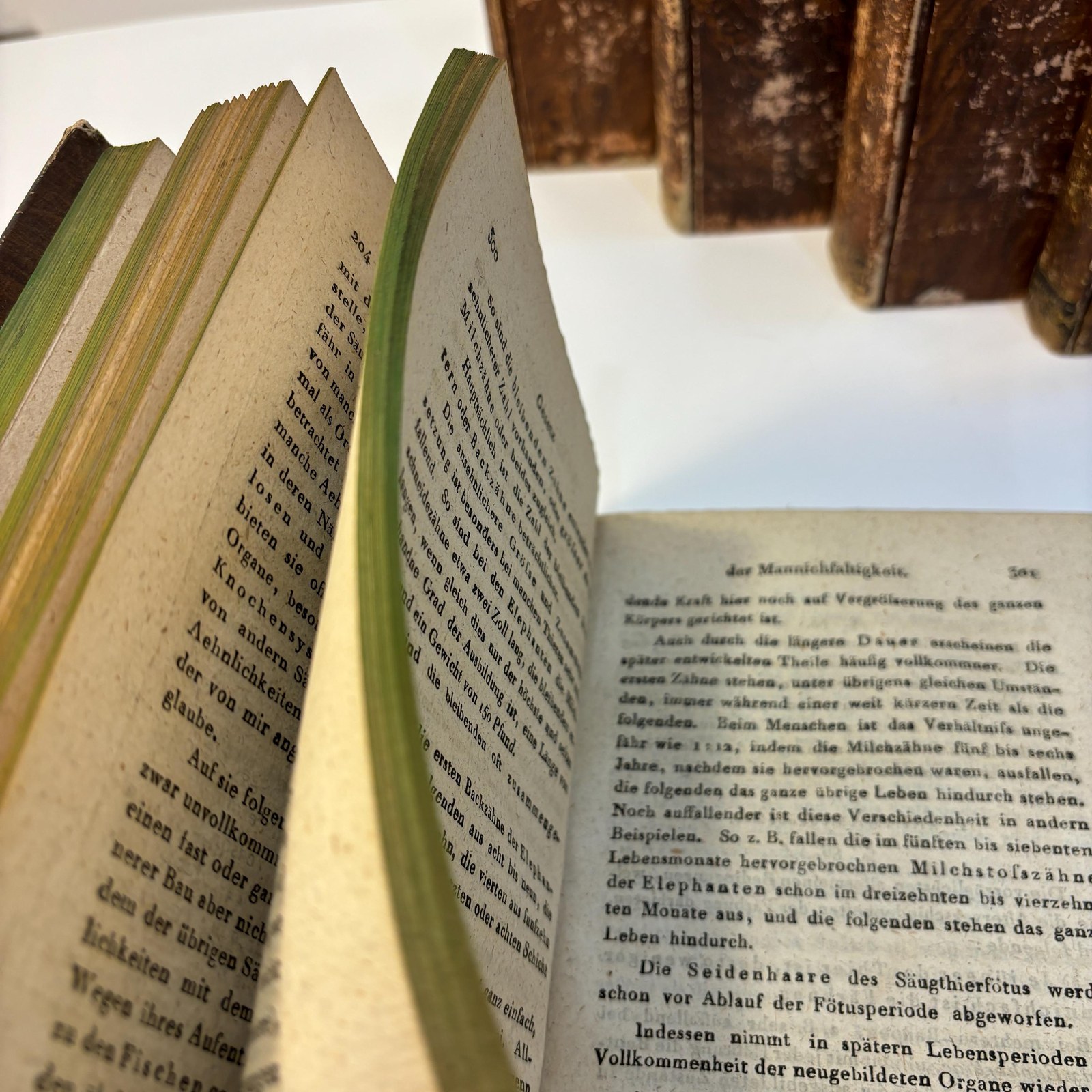 System der Vergleichenden Anatomie von J. F. Meckel. Translated: System of comparative anatomy by J. F. Meckel. First Edition, 6 volumes bound in 7. First Edition — photograph 4.