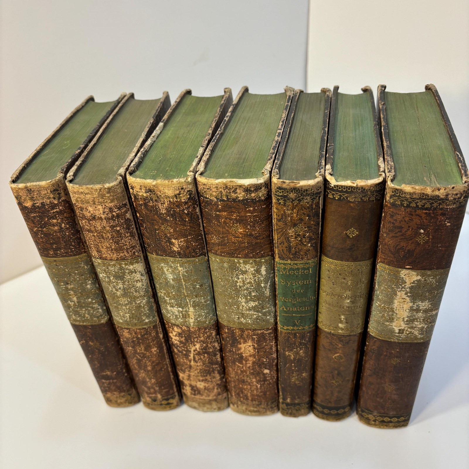 System der Vergleichenden Anatomie von J. F. Meckel. Translated: System of comparative anatomy by J. F. Meckel. First Edition, 6 volumes bound in 7. First Edition — photograph 5.