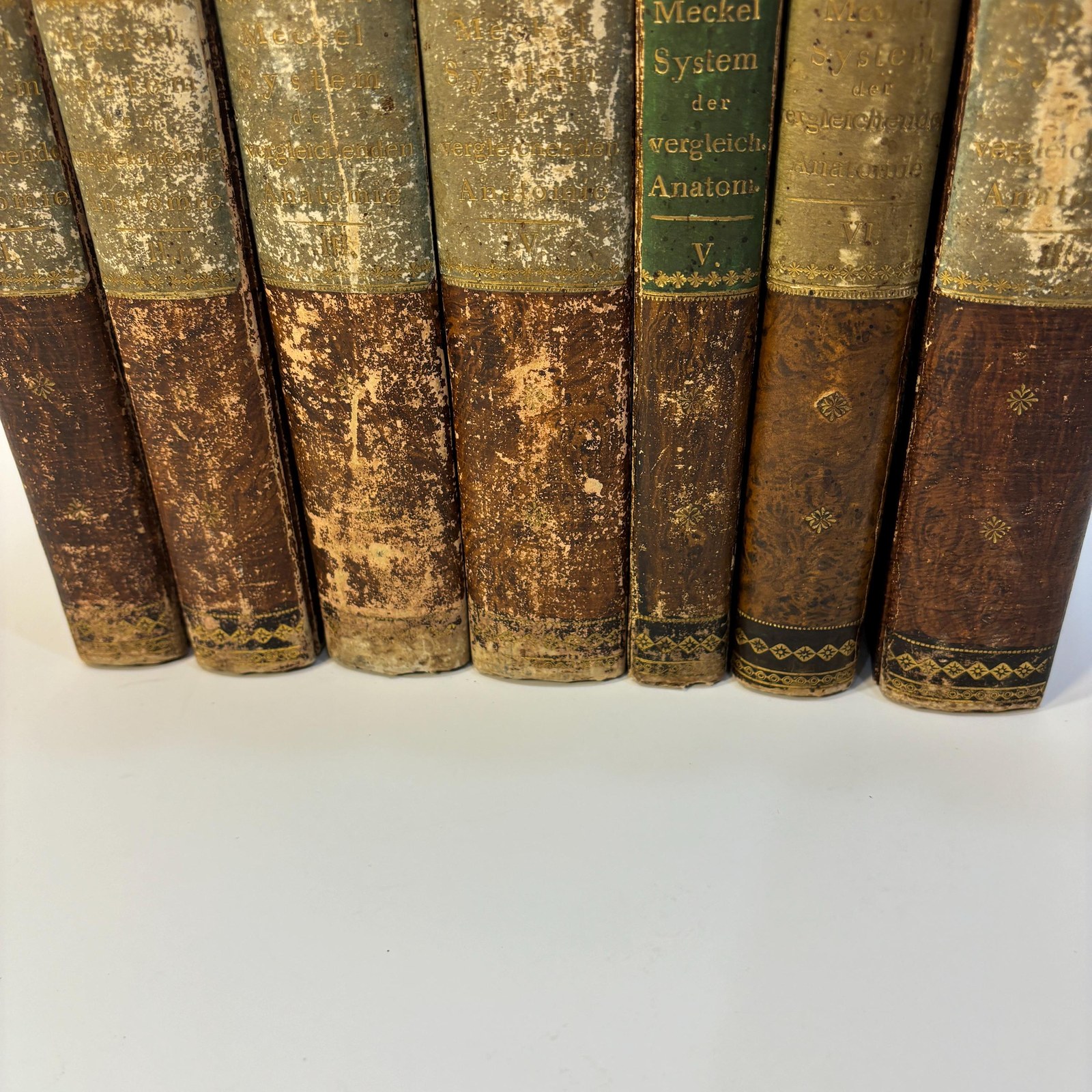 System der Vergleichenden Anatomie von J. F. Meckel. Translated: System of comparative anatomy by J. F. Meckel. First Edition, 6 volumes bound in 7. First Edition — photograph 7.