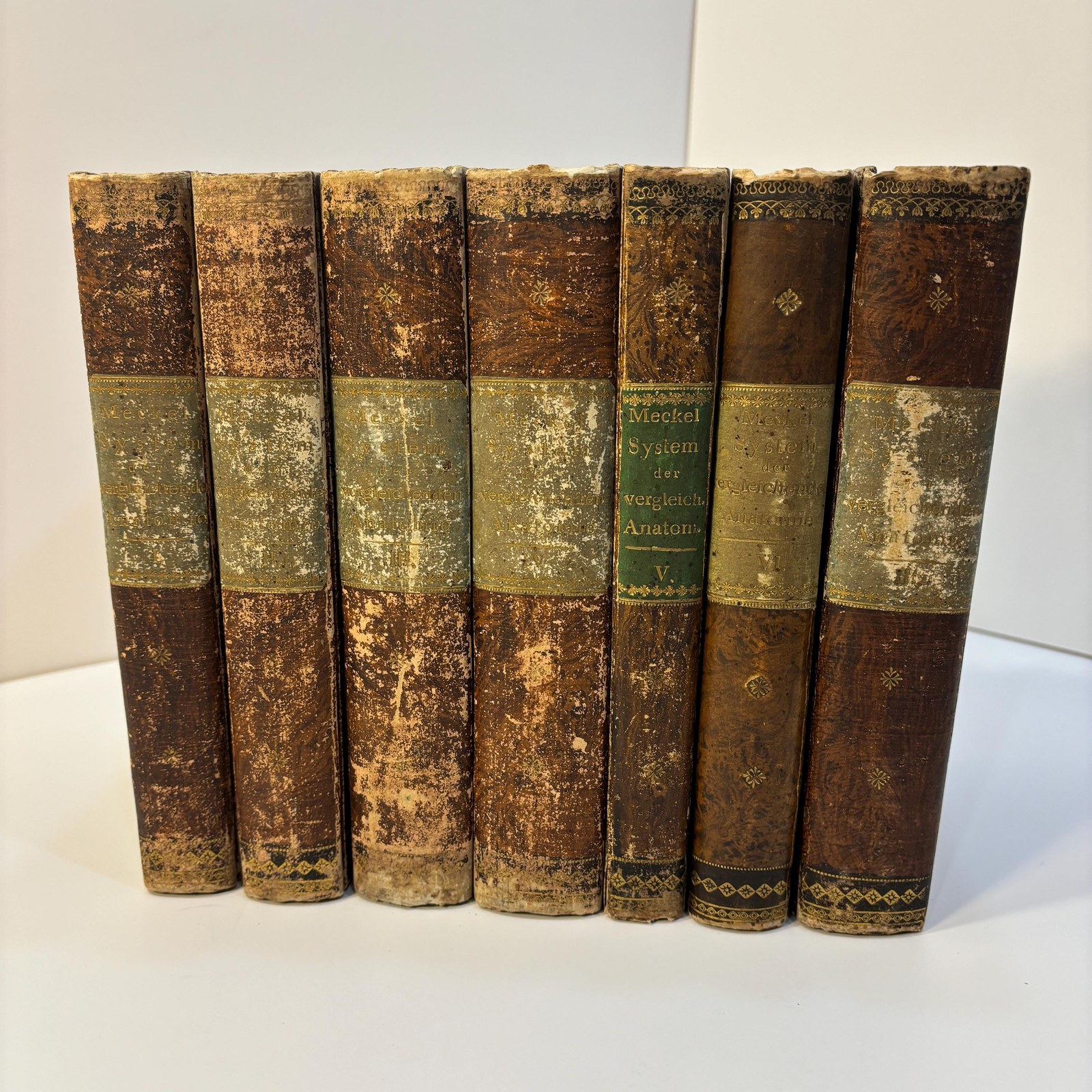 System der Vergleichenden Anatomie von J. F. Meckel. Translated: System of comparative anatomy by J. F. Meckel. First Edition, 6 volumes bound in 7. First Edition — photograph 9.