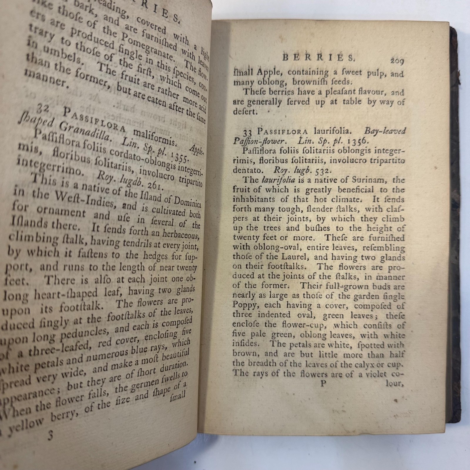 Flora Diaetetica: Or, History of Esculent Plants, Both Domestic and Foreign. In Which They are Accurately Described, and Reduced to Their Linnean Generic and Specific Names. With Their English annexed, and Ranged Under Eleven General Heads, viz. Roots, Shoots, Leaves, Flowers, Berries, Stone-Fruit, Apples, Legumens, Grain, Nuts, Funguses, and a Particular Account of The Manner of Using Them; Their Native Places of Growth; Their Several Varieties; and Physical Properties: Together with Whatever is Otherwise Curious, or Very Remarkable in each Species. The Whole so Methodized, as to Form a Short Introduction to the Science of Botany. First Edition. — photograph 10.
