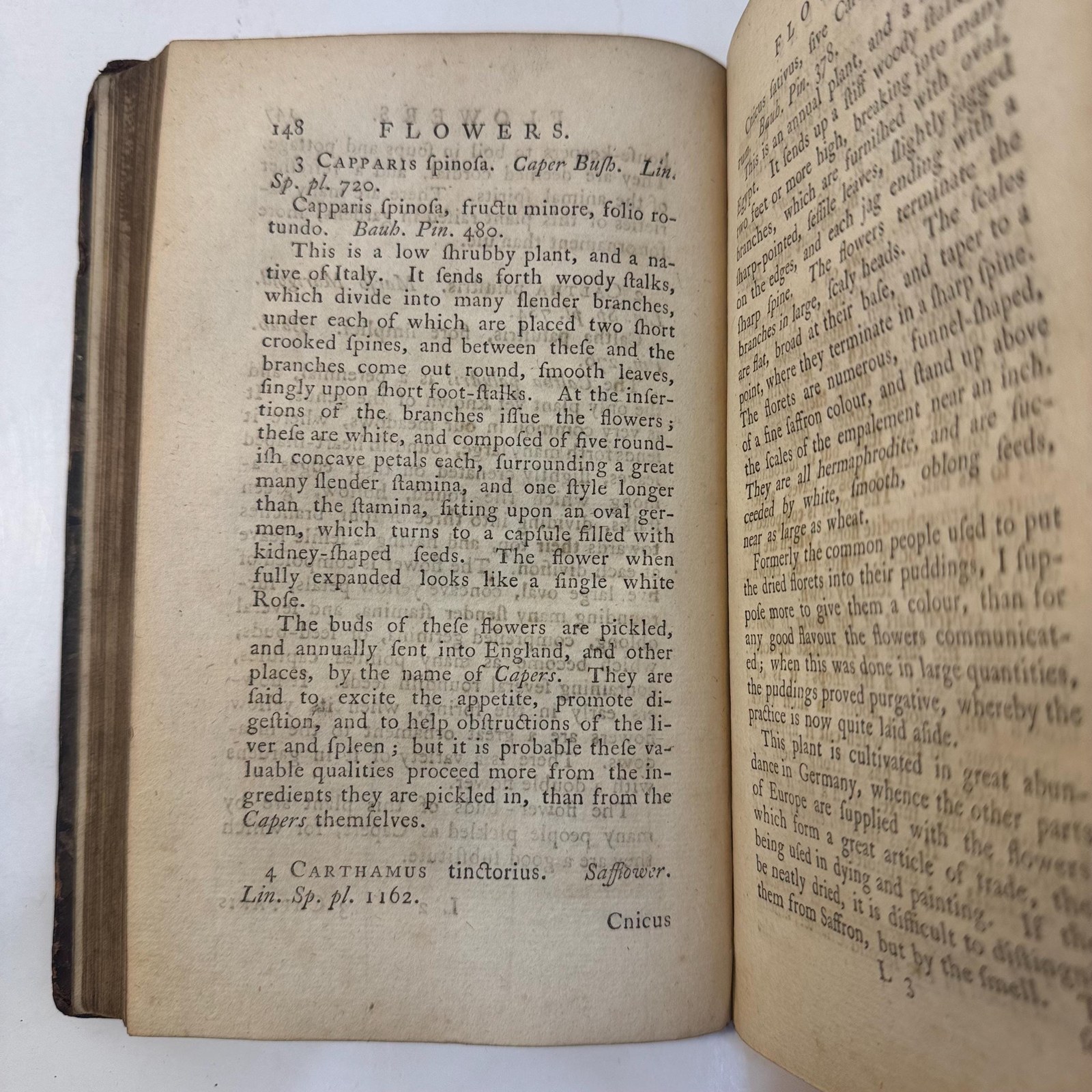 Flora Diaetetica: Or, History of Esculent Plants, Both Domestic and Foreign. In Which They are Accurately Described, and Reduced to Their Linnean Generic and Specific Names. With Their English annexed, and Ranged Under Eleven General Heads, viz. Roots, Shoots, Leaves, Flowers, Berries, Stone-Fruit, Apples, Legumens, Grain, Nuts, Funguses, and a Particular Account of The Manner of Using Them; Their Native Places of Growth; Their Several Varieties; and Physical Properties: Together with Whatever is Otherwise Curious, or Very Remarkable in each Species. The Whole so Methodized, as to Form a Short Introduction to the Science of Botany. First Edition. — photograph 9.