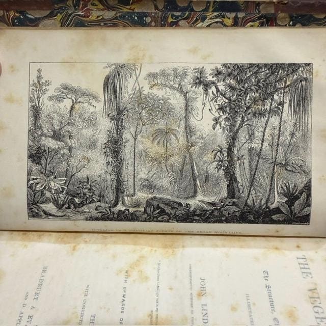 The Vegetable Kingdom; or, The Structure, Classification, and Uses of Plants, Illustrated Upon the Natural System. With Upwards of Five Hundred Illustrations. Third Edition, With Corrections and Additional Genera. — photograph 4.