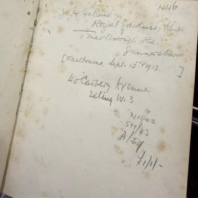 Profitable Plants; A Description of The Principal Articles of Vegetable Origin Used for Food, Clothing, Tanning, Dyeing, Building, Medicine, Perfumery, Etc. With Twenty Pages of Coloured Plates. — photograph 2.
