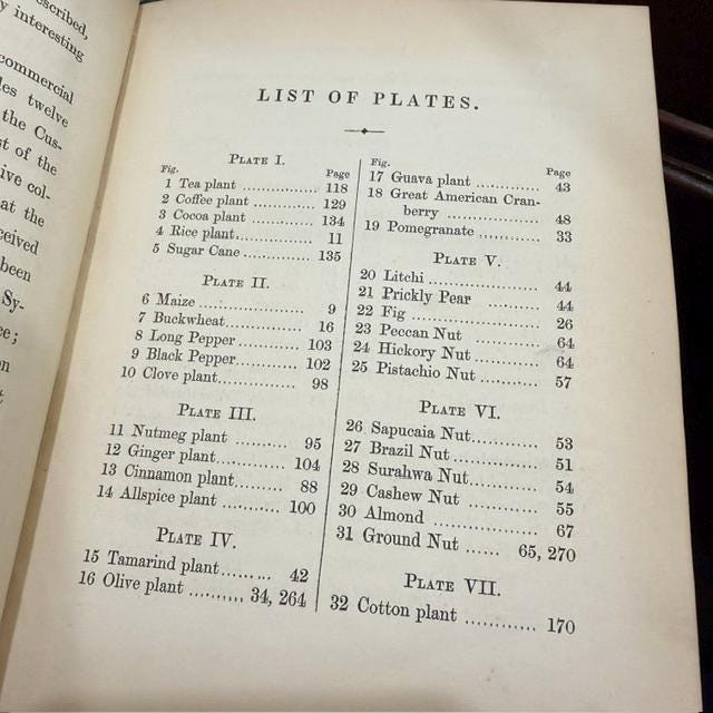 Profitable Plants; A Description of The Principal Articles of Vegetable Origin Used for Food, Clothing, Tanning, Dyeing, Building, Medicine, Perfumery, Etc. With Twenty Pages of Coloured Plates. — photograph 8.