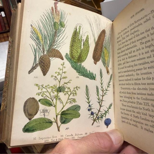 Profitable Plants; A Description of The Principal Articles of Vegetable Origin Used for Food, Clothing, Tanning, Dyeing, Building, Medicine, Perfumery, Etc. With Twenty Pages of Coloured Plates. — photograph 9.
