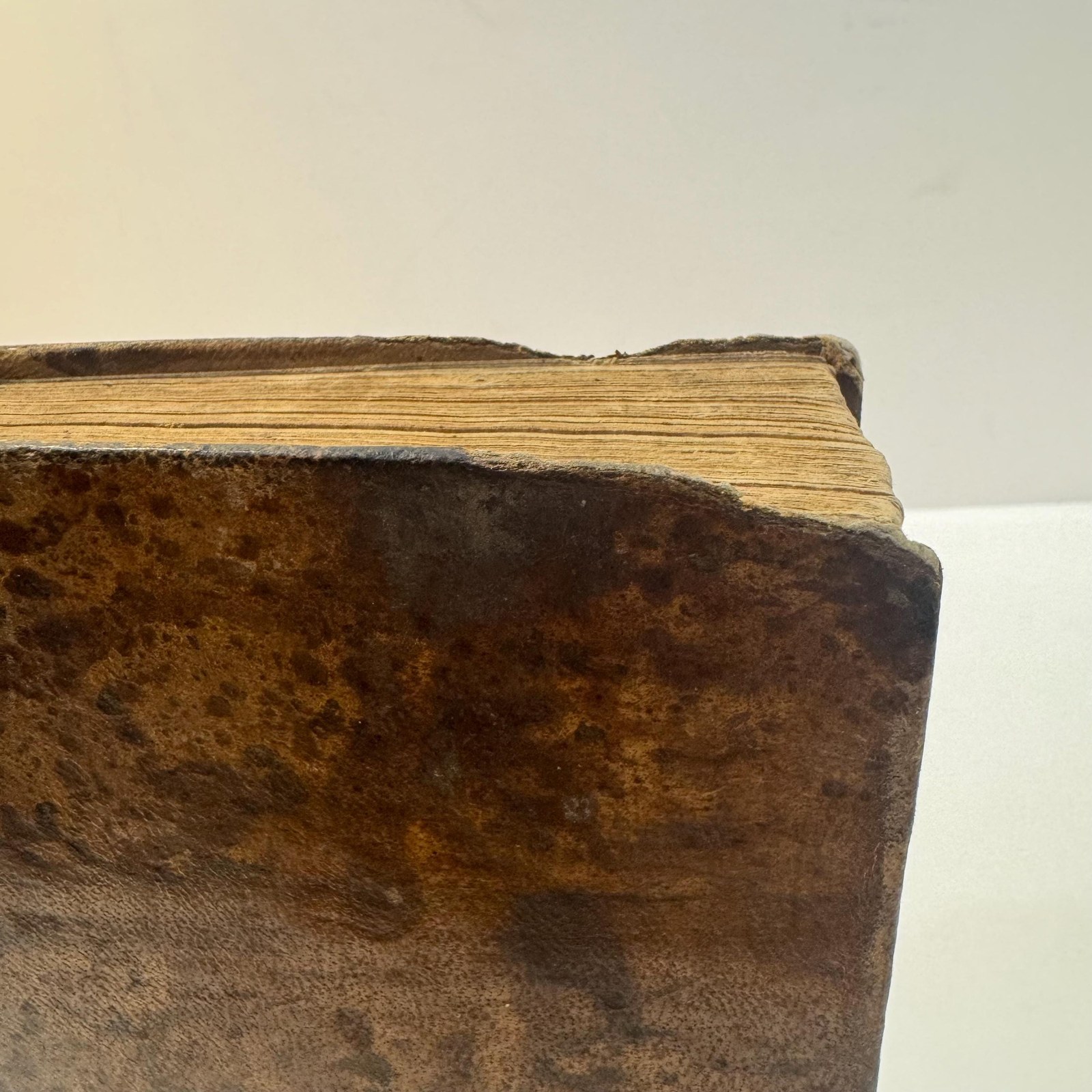 Gunn's Domestic Medicine, or Poor Man's Friend, In The Hours of Affliction, Pain and Sickness. This Book Points Out in Plain Language, Free From Doctor's Terms, The Diseases of Men, Women, and Children, and The Latest and Most Approved Means Used In Their Cure and is Expressly Written for The Use of Families in The Western and Southeastern States, It Also Contains Descriptions of The Medicinal Roots and herbs of The Western and Southern Country, and How They are To Be Used in The Cure of Diseases: Arranged onm a New and Simple Plan, By Which the Practice of Medicine is Reduced to Principles of Common Sense. Fourth Edition. — photograph 10.
