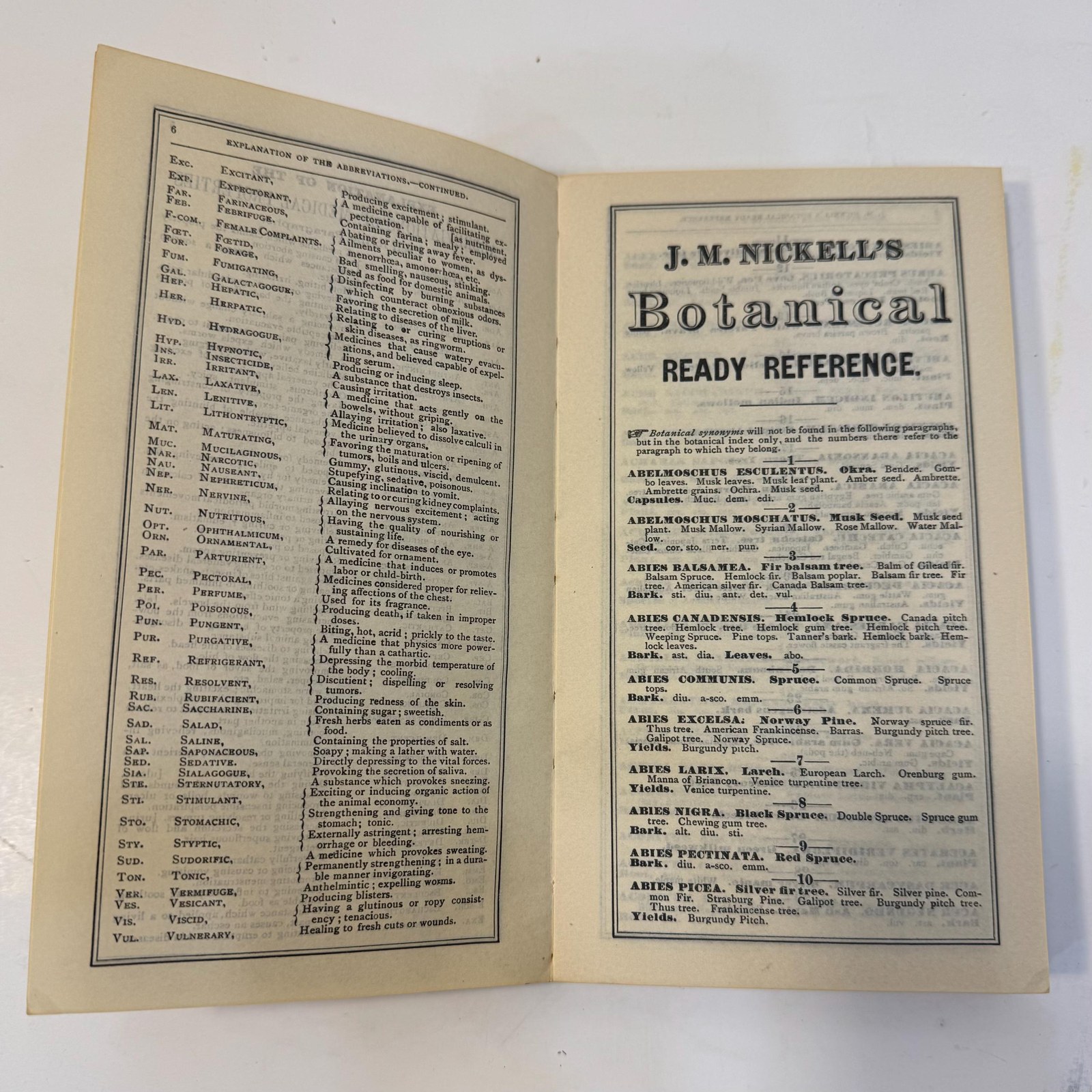 J.M. Nickell's Botanical Ready Reference. Especially Designed for Druggists and Physicians. Containing all of The Botanical Drugs Known up to The Present Time. Giving Their Medical Properties, and All of Their Botanical, Common, Pharmacopoeial and German Common (in German) Names. — photograph 8.