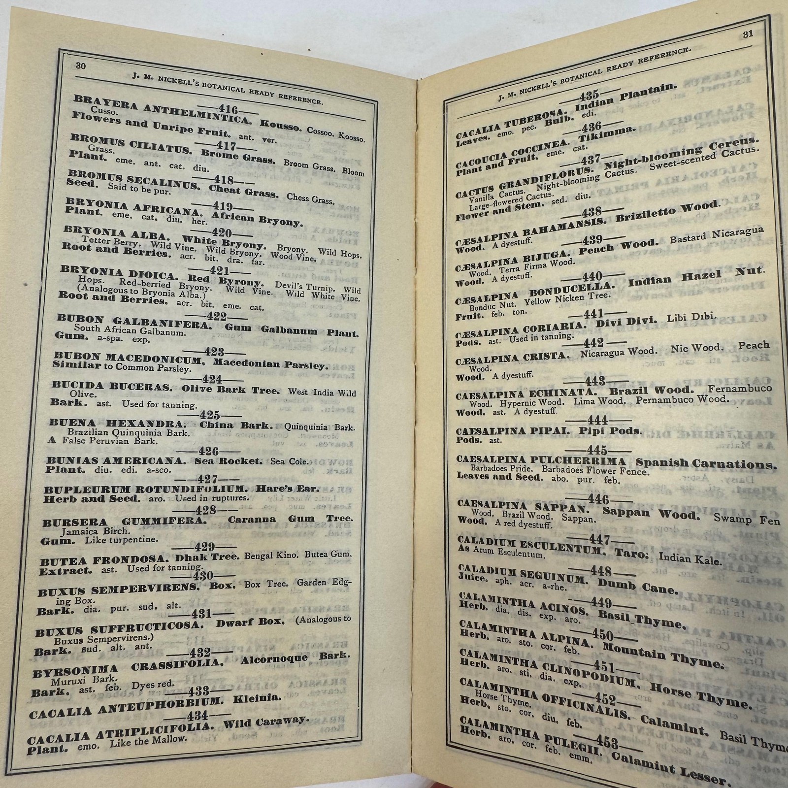 J.M. Nickell's Botanical Ready Reference. Especially Designed for Druggists and Physicians. Containing all of The Botanical Drugs Known up to The Present Time. Giving Their Medical Properties, and All of Their Botanical, Common, Pharmacopoeial and German Common (in German) Names. — photograph 9.