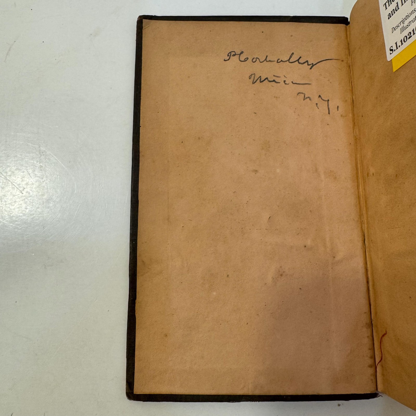 `A Book for Everybody. The Reformed Botanic and Indian Physician: A Complete Guide to Health. First Edition — photograph 4.