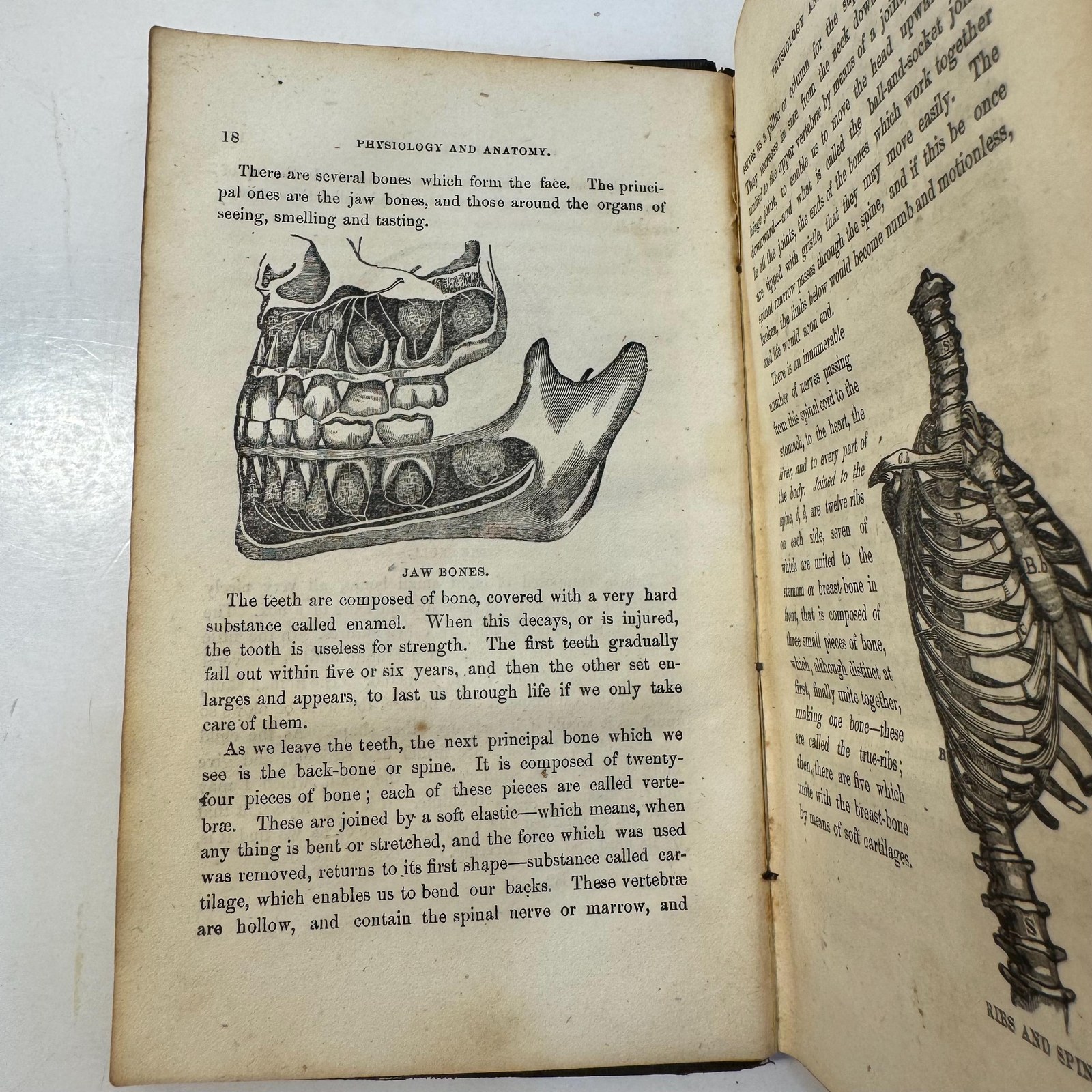 `A Book for Everybody. The Reformed Botanic and Indian Physician: A Complete Guide to Health. First Edition — photograph 5.