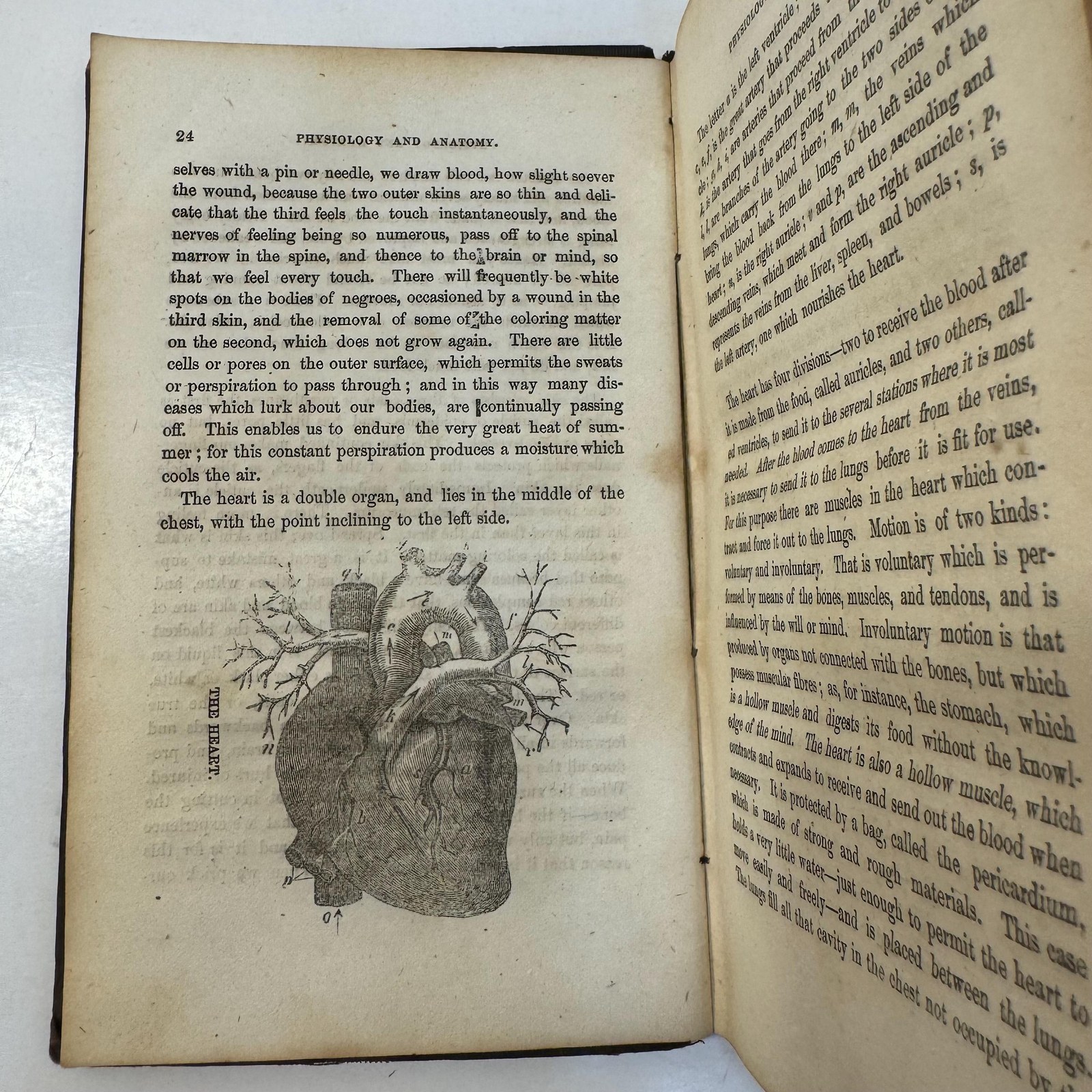 `A Book for Everybody. The Reformed Botanic and Indian Physician: A Complete Guide to Health. First Edition — photograph 6.