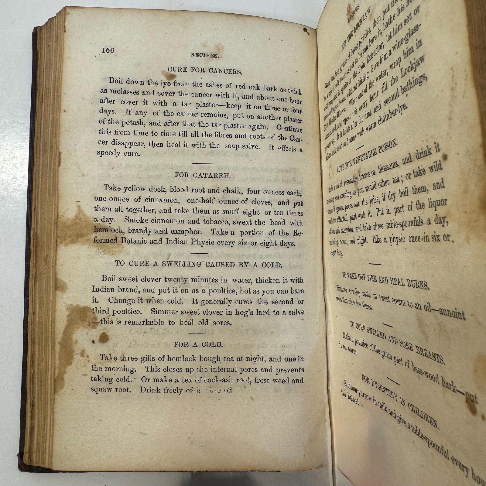 `A Book for Everybody. The Reformed Botanic and Indian Physician: A Complete Guide to Health. First Edition — photograph 7.