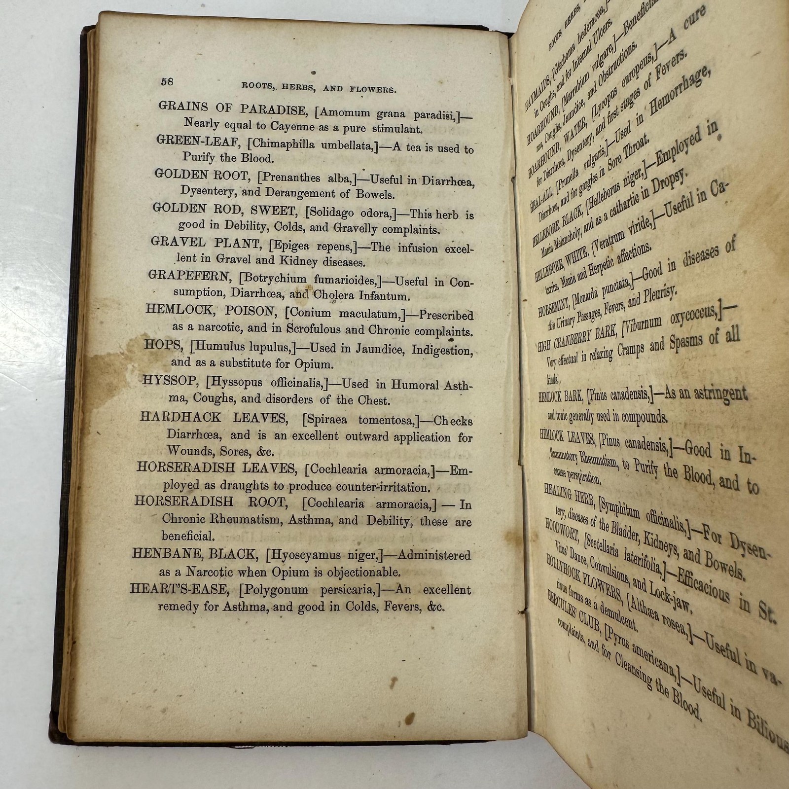 `A Book for Everybody. The Reformed Botanic and Indian Physician: A Complete Guide to Health. First Edition — photograph 9.