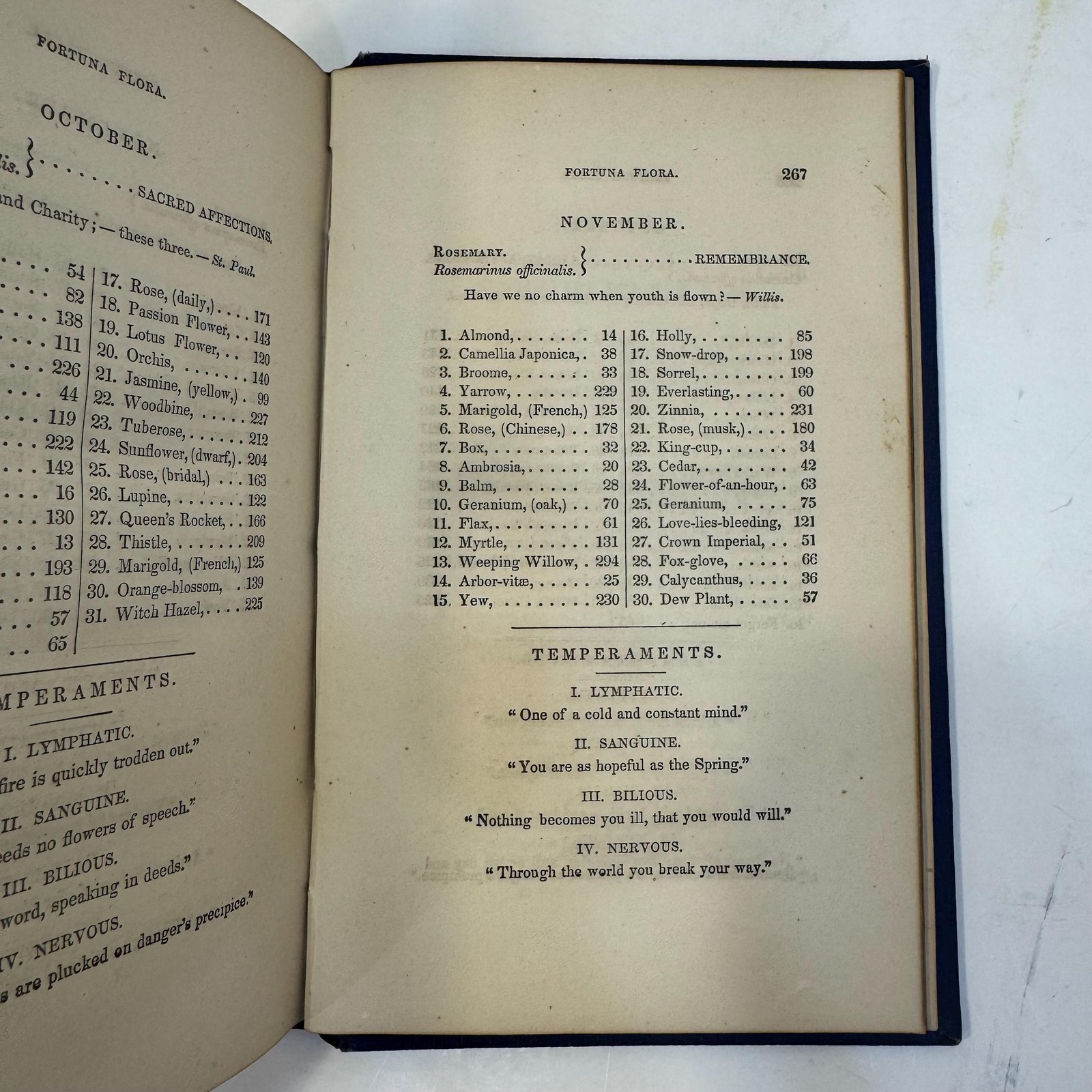 Flora's Interpreter, and Fortuna Flora. Revised and Enlarged Edition, With New Illustrations. — photograph 10.