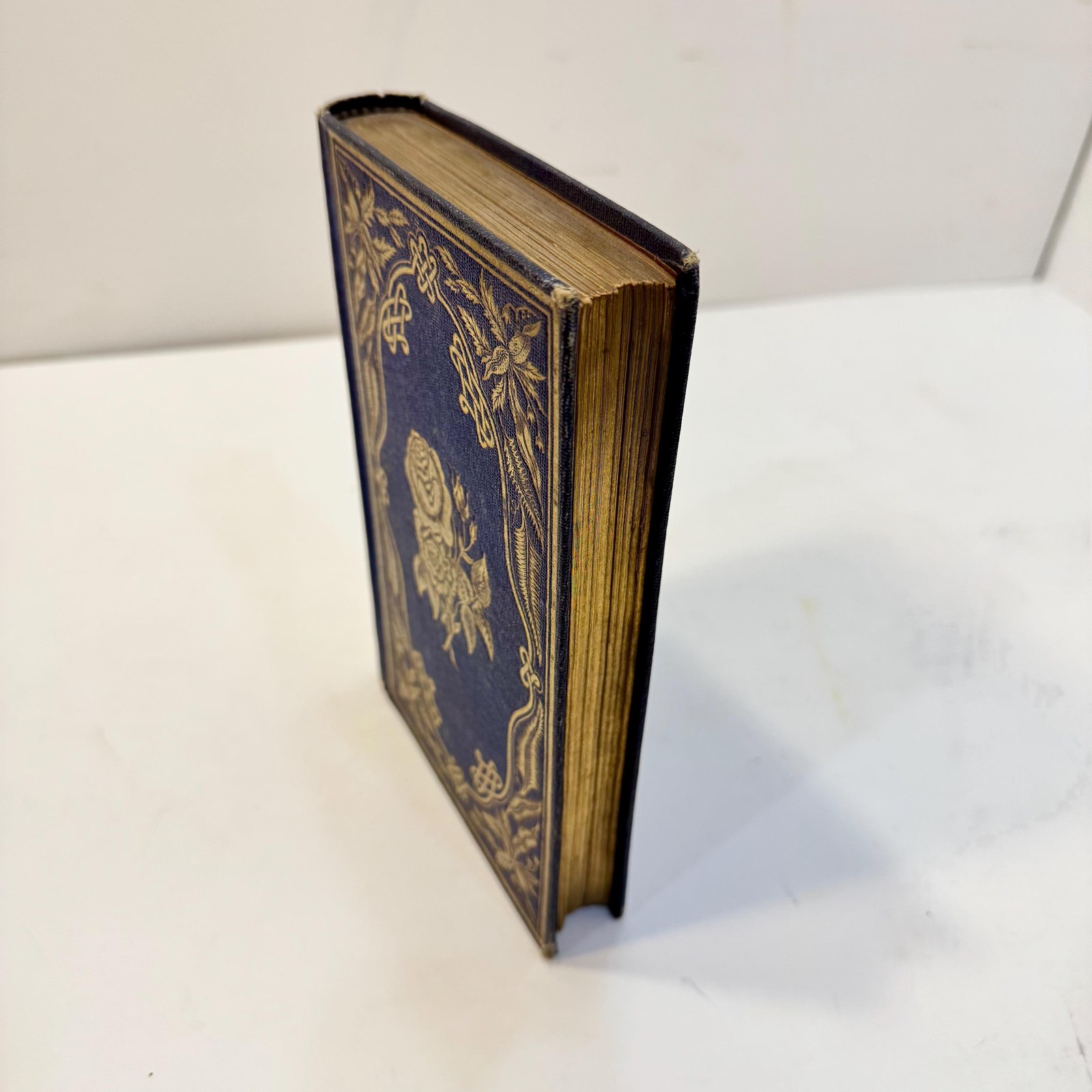 Flora's Interpreter, and Fortuna Flora. Revised and Enlarged Edition, With New Illustrations. — photograph 4.