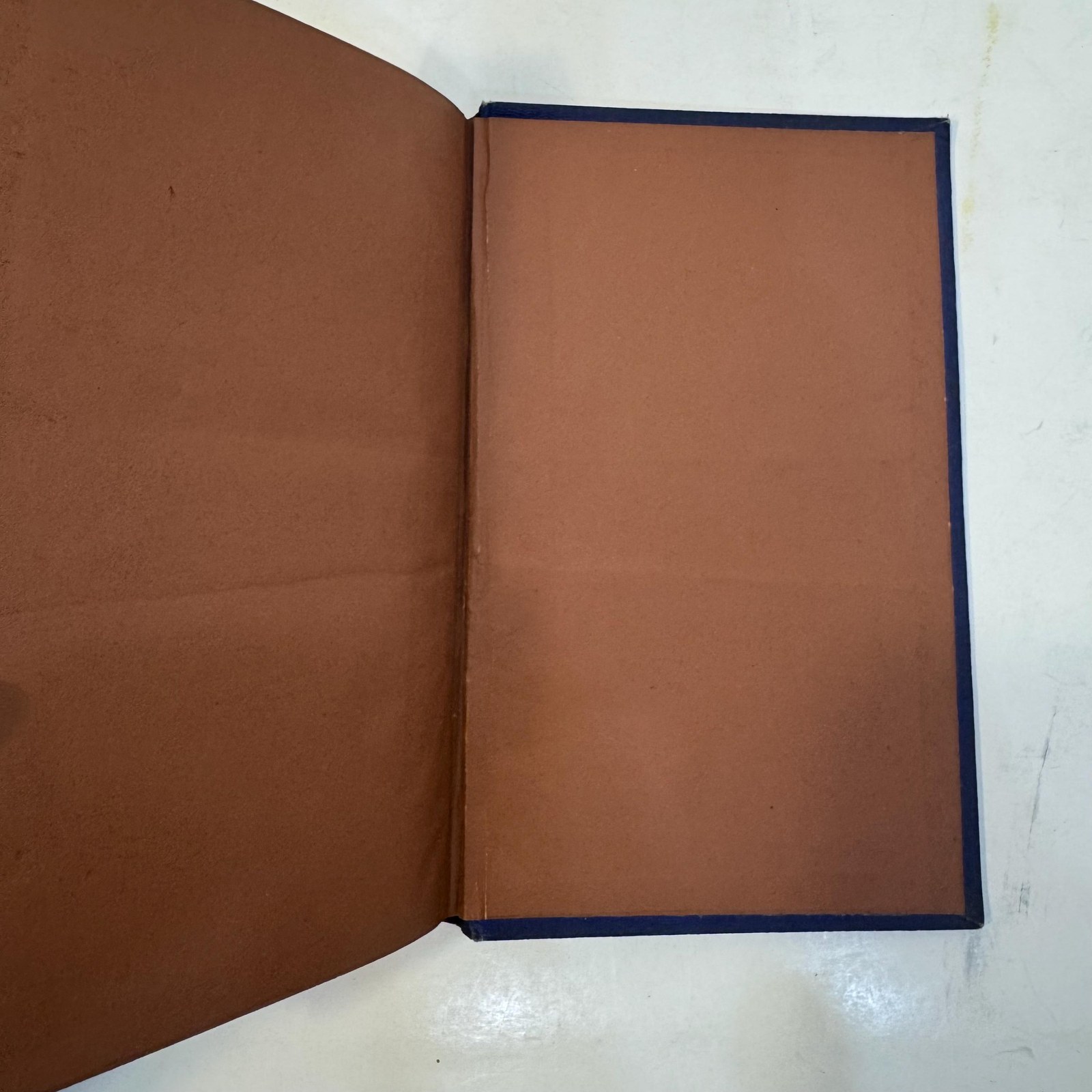Flora's Interpreter, and Fortuna Flora. Revised and Enlarged Edition, With New Illustrations. — photograph 5.