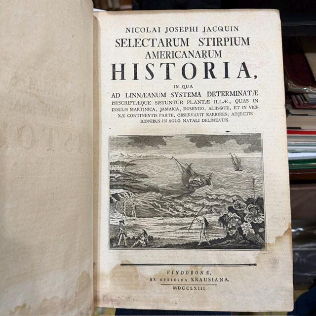 Nicolai Josephi Jacquin Selectarum Stirpium Americanarum Historia, in qua ad Linnæanum systema determinatæ descriptæque sistuntur plantæ illæ, quas in insulis Martinica, Jamaica, Domingo, aliisque, et in vicinæ continentis parte, observavit rariores; adjectis iconibus in solo natali delineatis. Translated: Nicolas Joseph Jacquin’s History of Selected American Plants, in which those rarer plants that he observed on the islands of Martinique, Jamaica, Santo Domingo, and others, as well as in a neighboring part of the continent, are identified according to the Linnaean system and described, with illustrations drawn in their native habitat. — photograph 2.