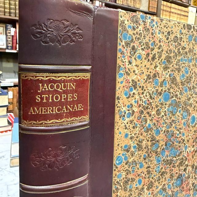Nicolai Josephi Jacquin Selectarum Stirpium Americanarum Historia, in qua ad Linnæanum systema determinatæ descriptæque sistuntur plantæ illæ, quas in insulis Martinica, Jamaica, Domingo, aliisque, et in vicinæ continentis parte, observavit rariores; adjectis iconibus in solo natali delineatis. Translated: Nicolas Joseph Jacquin’s History of Selected American Plants, in which those rarer plants that he observed on the islands of Martinique, Jamaica, Santo Domingo, and others, as well as in a neighboring part of the continent, are identified according to the Linnaean system and described, with illustrations drawn in their native habitat. — photograph 3.