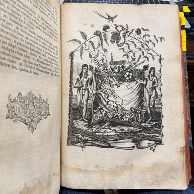 Nicolai Josephi Jacquin Selectarum Stirpium Americanarum Historia, in qua ad Linnæanum systema determinatæ descriptæque sistuntur plantæ illæ, quas in insulis Martinica, Jamaica, Domingo, aliisque, et in vicinæ continentis parte, observavit rariores; adjectis iconibus in solo natali delineatis. Translated: Nicolas Joseph Jacquin’s History of Selected American Plants, in which those rarer plants that he observed on the islands of Martinique, Jamaica, Santo Domingo, and others, as well as in a neighboring part of the continent, are identified according to the Linnaean system and described, with illustrations drawn in their native habitat. — photograph 4.