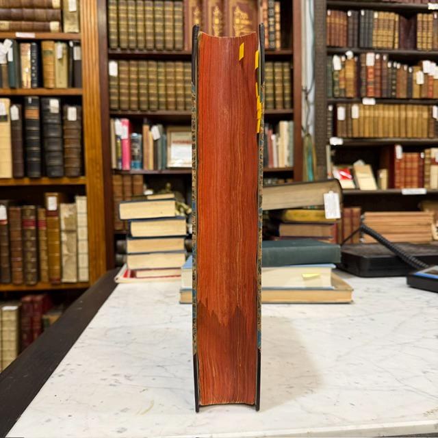 Nicolai Josephi Jacquin Selectarum Stirpium Americanarum Historia, in qua ad Linnæanum systema determinatæ descriptæque sistuntur plantæ illæ, quas in insulis Martinica, Jamaica, Domingo, aliisque, et in vicinæ continentis parte, observavit rariores; adjectis iconibus in solo natali delineatis. Translated: Nicolas Joseph Jacquin’s History of Selected American Plants, in which those rarer plants that he observed on the islands of Martinique, Jamaica, Santo Domingo, and others, as well as in a neighboring part of the continent, are identified according to the Linnaean system and described, with illustrations drawn in their native habitat. — photograph 6.