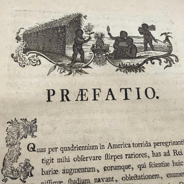 Nicolai Josephi Jacquin Selectarum Stirpium Americanarum Historia, in qua ad Linnæanum systema determinatæ descriptæque sistuntur plantæ illæ, quas in insulis Martinica, Jamaica, Domingo, aliisque, et in vicinæ continentis parte, observavit rariores; adjectis iconibus in solo natali delineatis. Translated: Nicolas Joseph Jacquin’s History of Selected American Plants, in which those rarer plants that he observed on the islands of Martinique, Jamaica, Santo Domingo, and others, as well as in a neighboring part of the continent, are identified according to the Linnaean system and described, with illustrations drawn in their native habitat. — photograph 7.