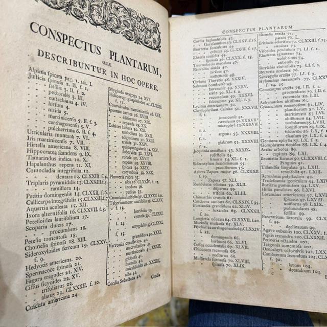 Nicolai Josephi Jacquin Selectarum Stirpium Americanarum Historia, in qua ad Linnæanum systema determinatæ descriptæque sistuntur plantæ illæ, quas in insulis Martinica, Jamaica, Domingo, aliisque, et in vicinæ continentis parte, observavit rariores; adjectis iconibus in solo natali delineatis. Translated: Nicolas Joseph Jacquin’s History of Selected American Plants, in which those rarer plants that he observed on the islands of Martinique, Jamaica, Santo Domingo, and others, as well as in a neighboring part of the continent, are identified according to the Linnaean system and described, with illustrations drawn in their native habitat. — photograph 8.