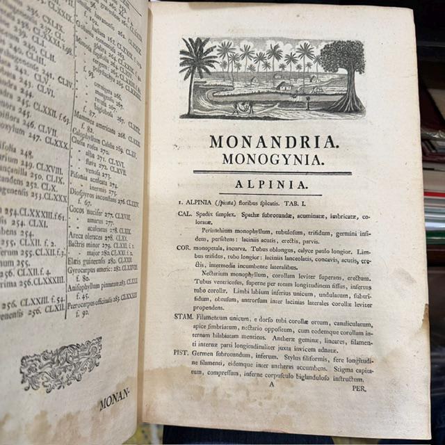 Nicolai Josephi Jacquin Selectarum Stirpium Americanarum Historia, in qua ad Linnæanum systema determinatæ descriptæque sistuntur plantæ illæ, quas in insulis Martinica, Jamaica, Domingo, aliisque, et in vicinæ continentis parte, observavit rariores; adjectis iconibus in solo natali delineatis. Translated: Nicolas Joseph Jacquin’s History of Selected American Plants, in which those rarer plants that he observed on the islands of Martinique, Jamaica, Santo Domingo, and others, as well as in a neighboring part of the continent, are identified according to the Linnaean system and described, with illustrations drawn in their native habitat. — photograph 9.
