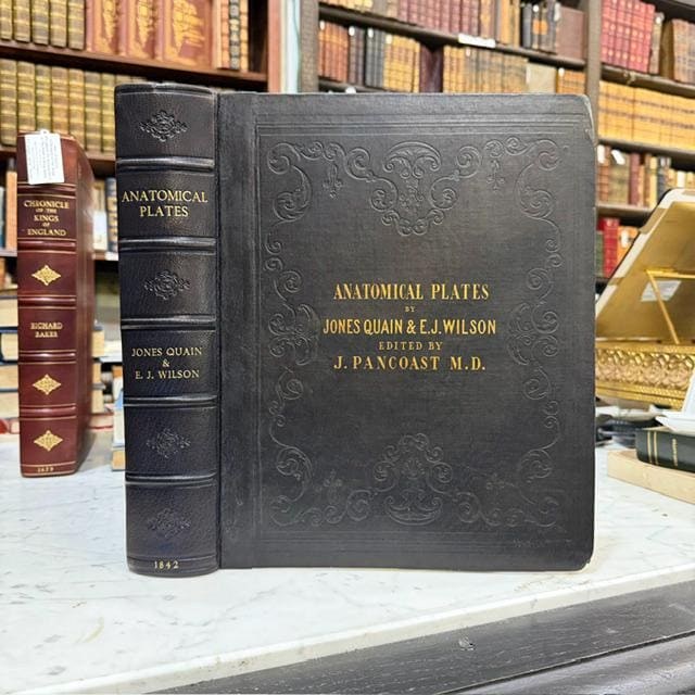 A Series of Anatomical Plates; With References and Physiological Comments, Illustrating The Structure of Thee Different Parts of The Human Body. American Edition Revised, With Additional Notes — photograph 2.