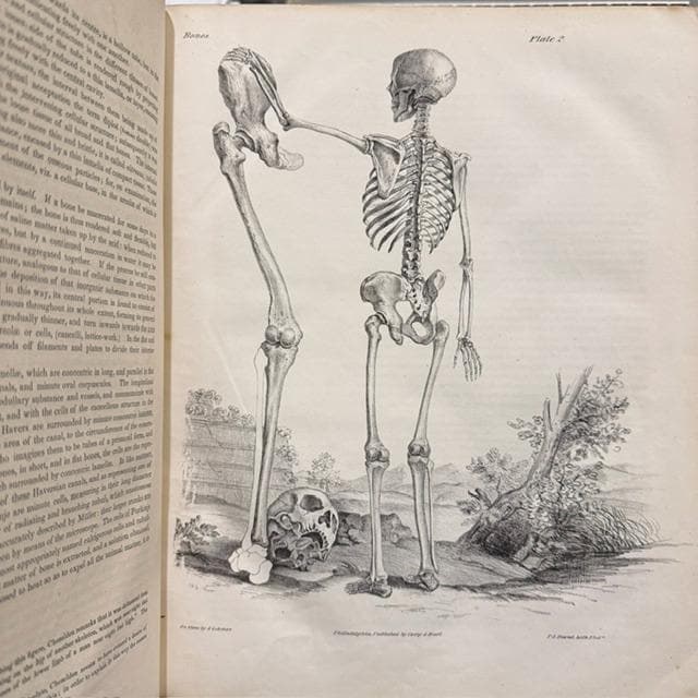 A Series of Anatomical Plates; With References and Physiological Comments, Illustrating The Structure of Thee Different Parts of The Human Body. American Edition Revised, With Additional Notes — photograph 4.