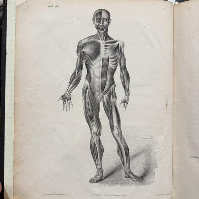 A Series of Anatomical Plates; With References and Physiological Comments, Illustrating The Structure of Thee Different Parts of The Human Body. American Edition Revised, With Additional Notes — photograph 5.