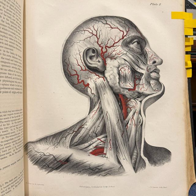 A Series of Anatomical Plates; With References and Physiological Comments, Illustrating The Structure of Thee Different Parts of The Human Body. American Edition Revised, With Additional Notes — photograph 6.