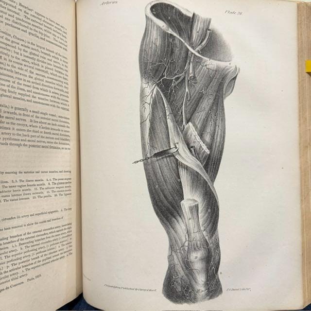 A Series of Anatomical Plates; With References and Physiological Comments, Illustrating The Structure of Thee Different Parts of The Human Body. American Edition Revised, With Additional Notes — photograph 9.