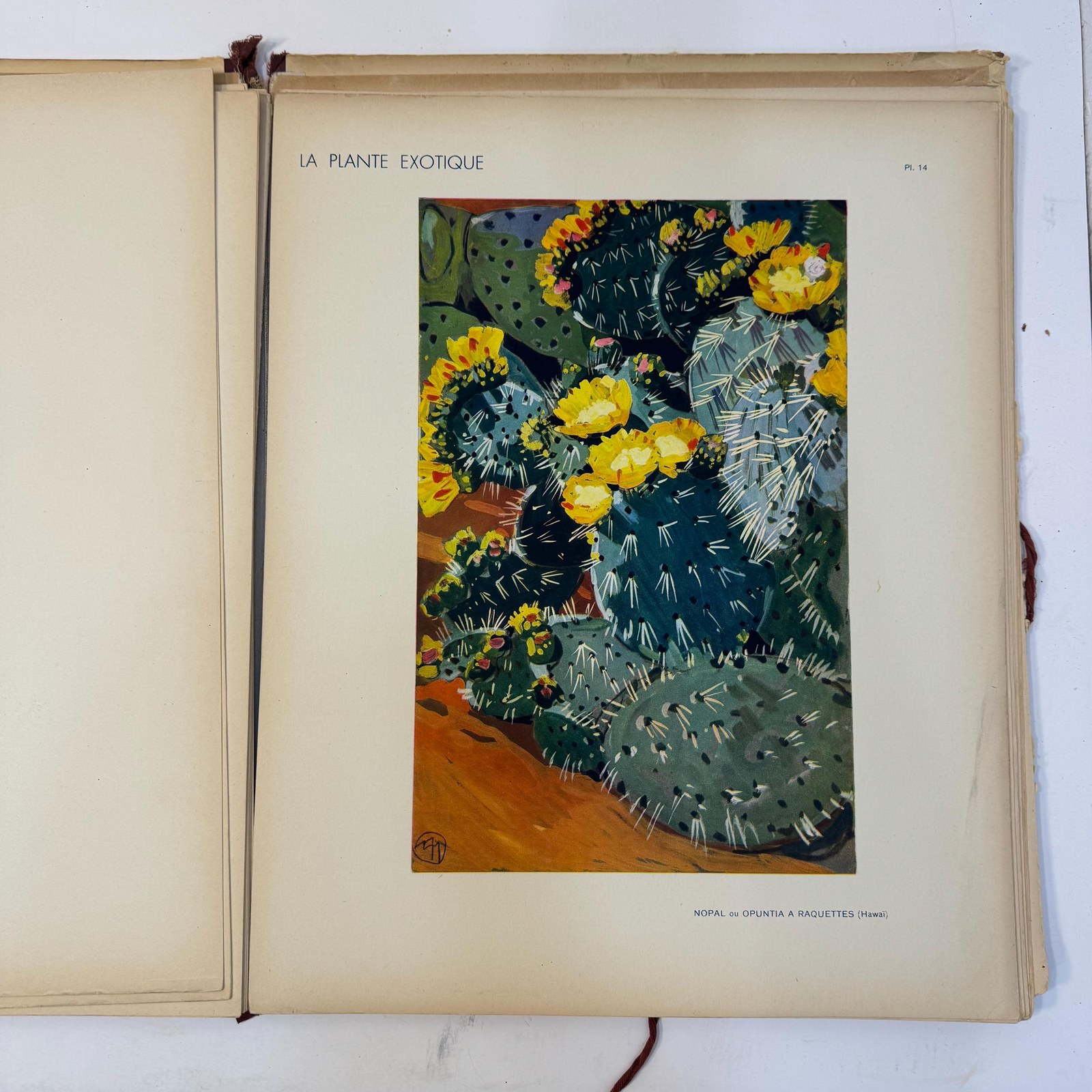 La Plante Exotique, Introduction par M.L. Plantefol — photograph 10.