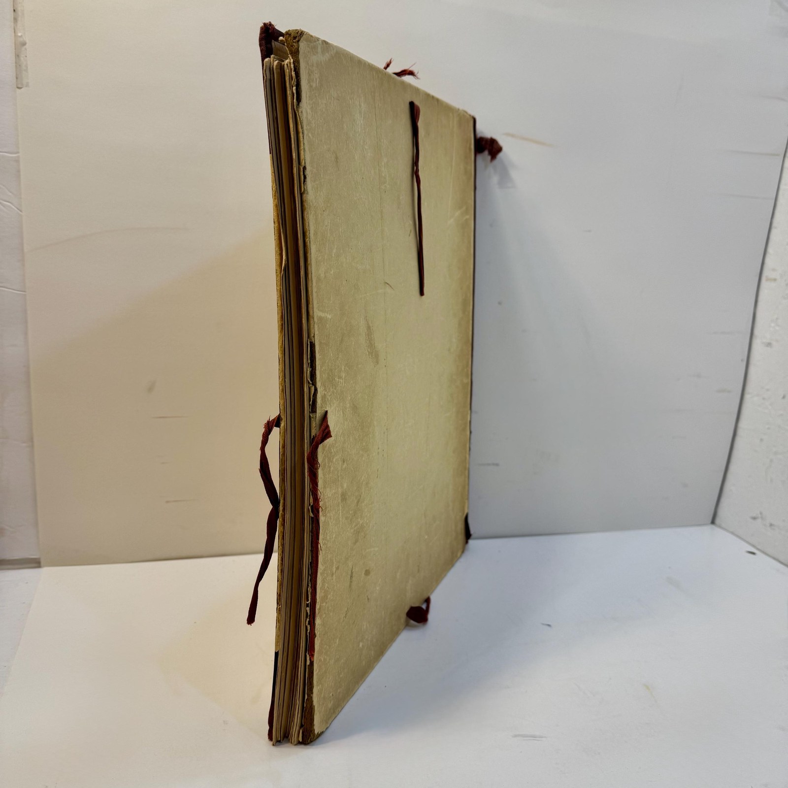 La Plante Exotique, Introduction par M.L. Plantefol — photograph 4.